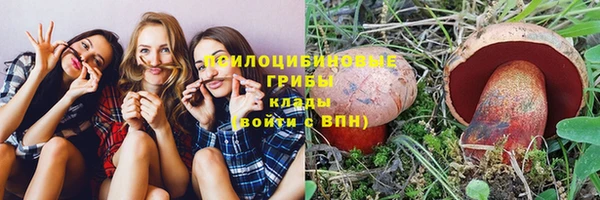 мяу мяу мука Алексеевка