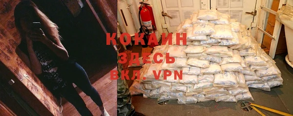 мяу мяу мука Алексеевка