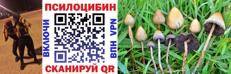 Псилоцибиновые грибы ЛСД  гидра сайт  Курлово  дарнет шоп 